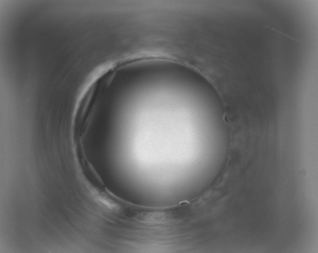 X0000054460104200508121948