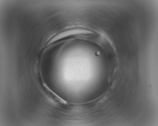 X0000054460105200508121948