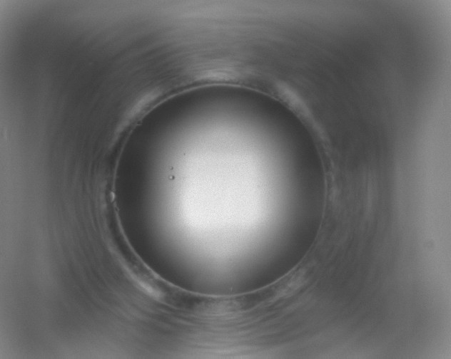 X0000054460106200508121948