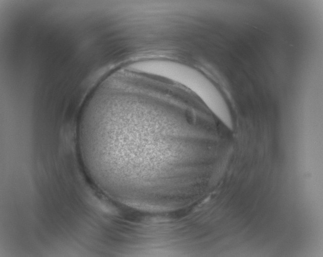 X0000054460107200508121947