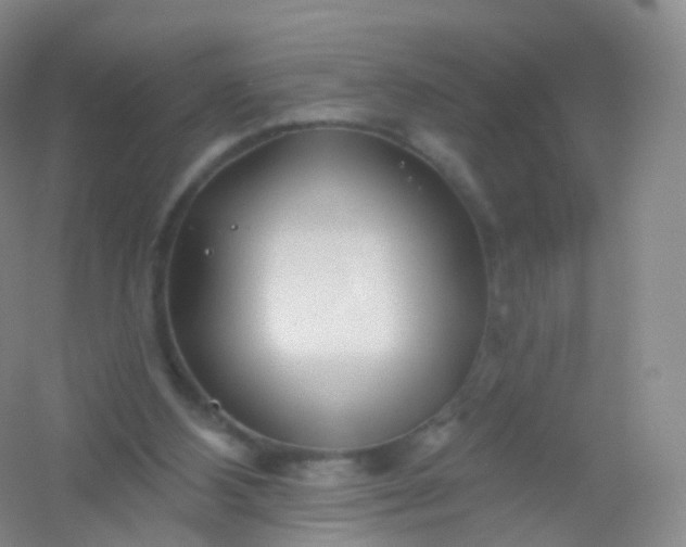 X0000054460108200508121947