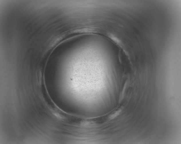 X0000054460109200508121947