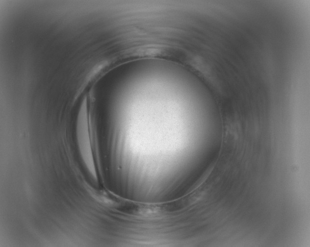 X0000054460110200508121947