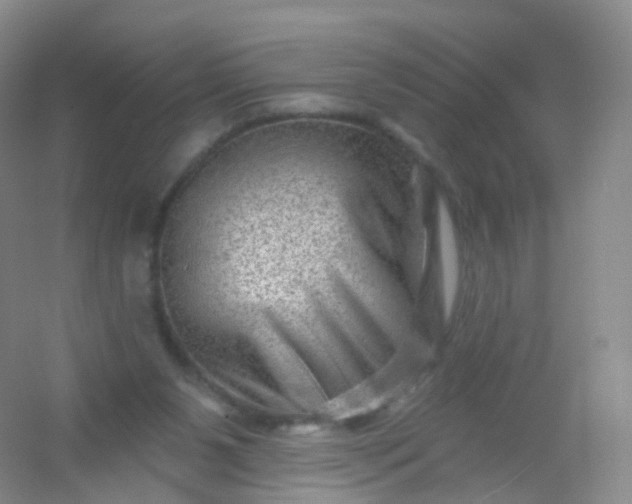 X0000054460111200508121947