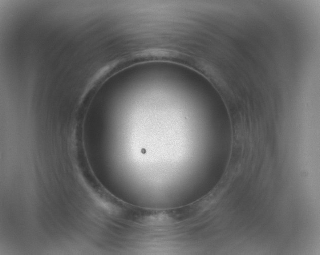 X0000054460112200508121947