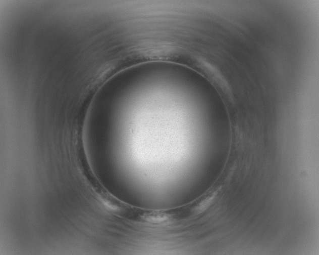 X0000054460113200508121947