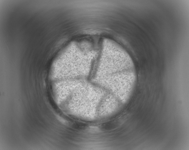 X0000054460114200508121947