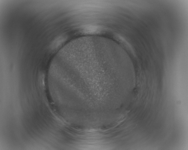 X0000054460115200508121947