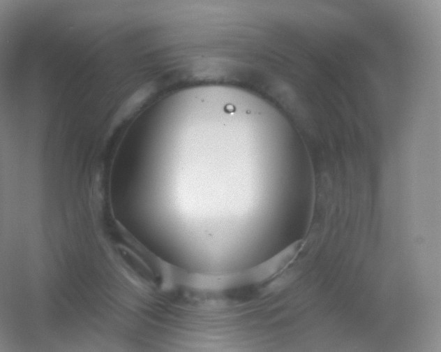 X0000054460116200508121947