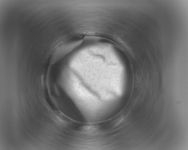 X0000054460117200508121947