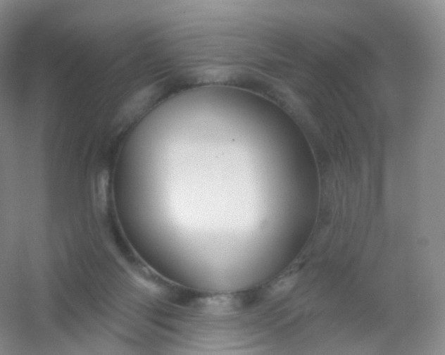 X0000054460118200508121947