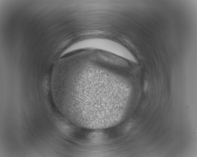 X0000054460119200508121947