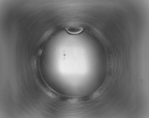 X0000054460120200508121947