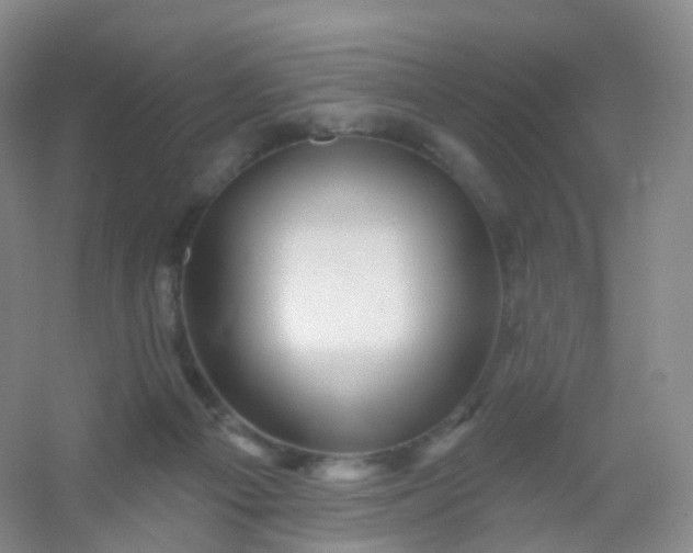 X0000054460121200508121947