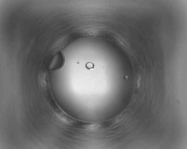 X0000054460122200508121947