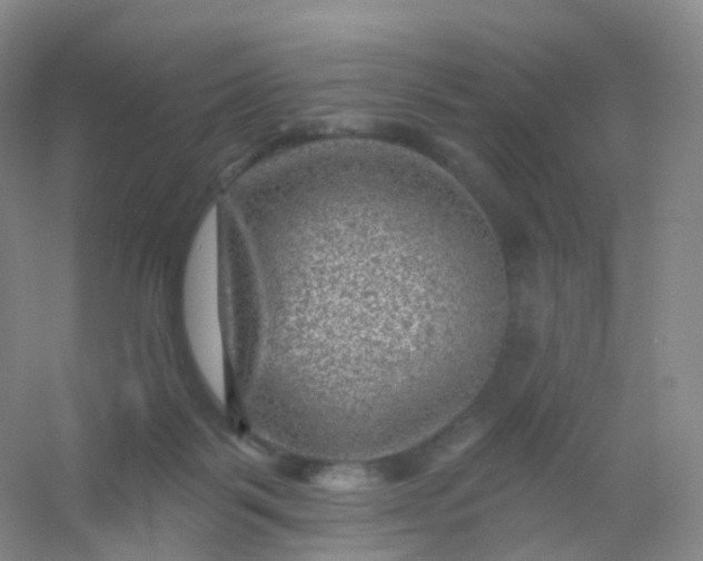 X0000054460123200508121947