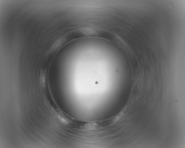 X0000054460124200508121947