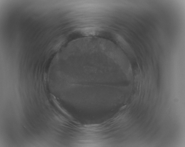 X0000054460125200508121947