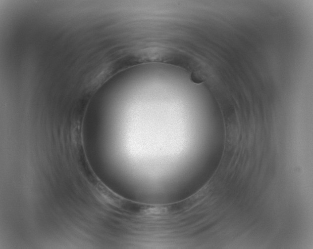 X0000054460126200508121947