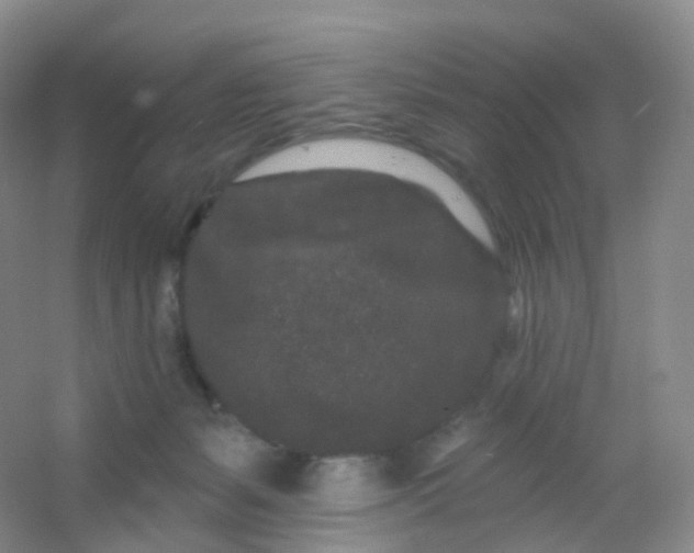 X0000054460127200508121947