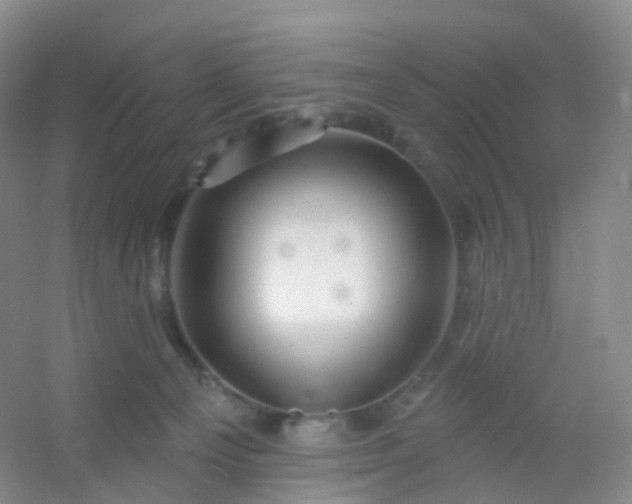 X0000054460129200508121947