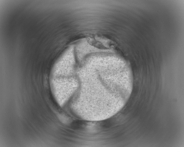 X0000054460130200508121947