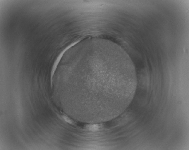 X0000054460131200508121947