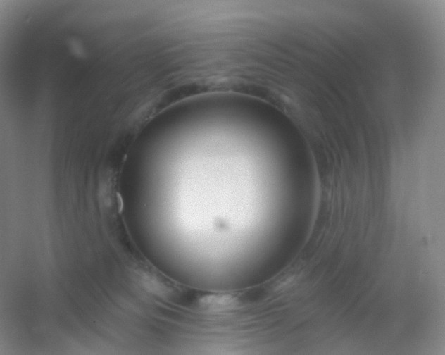 X0000054460133200508121947