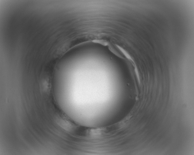 X0000054460134200508121947