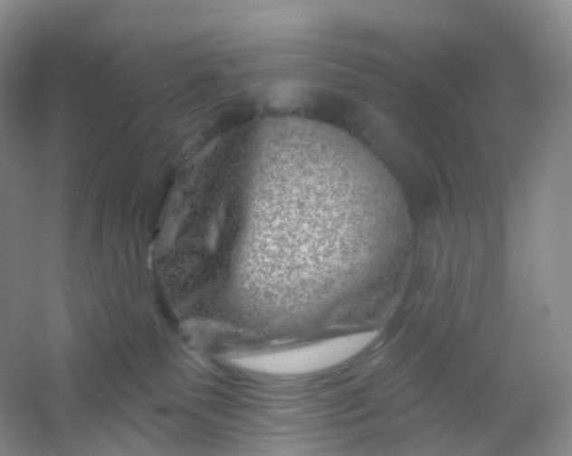 X0000054460135200508121947