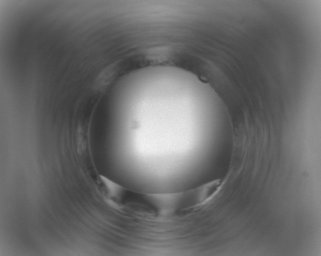 X0000054460136200508121947