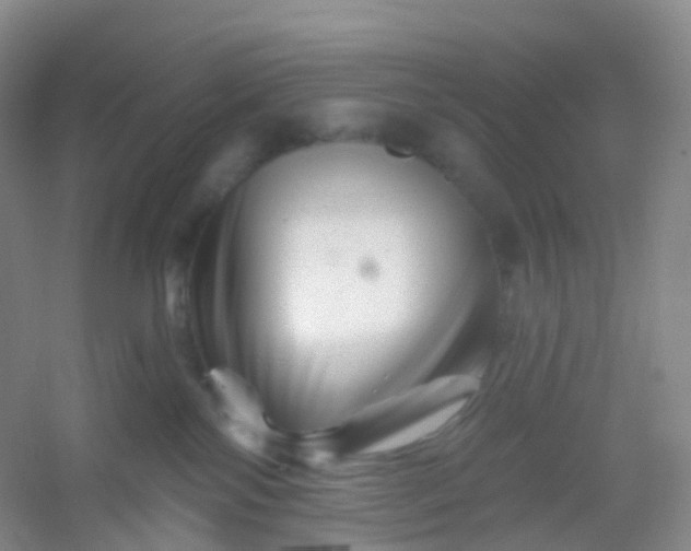 X0000054460138200508121947