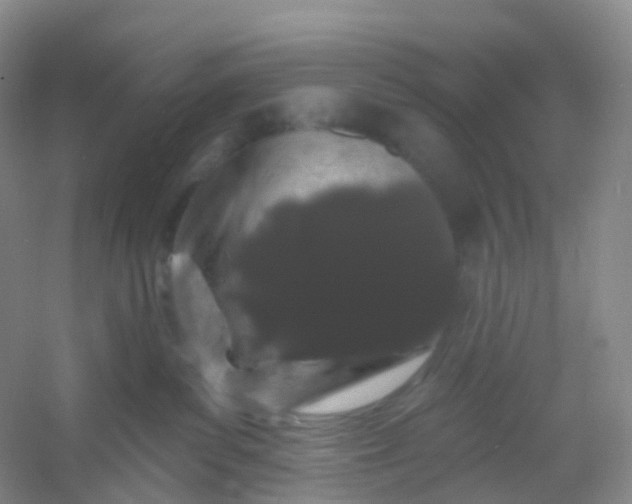 X0000054460139200508121947