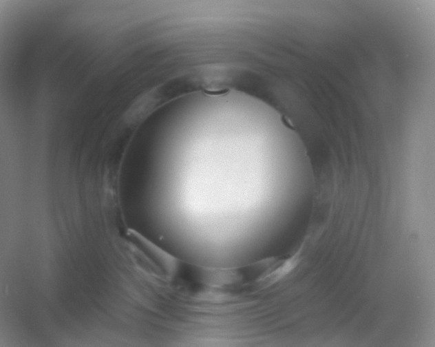 X0000054460140200508121947