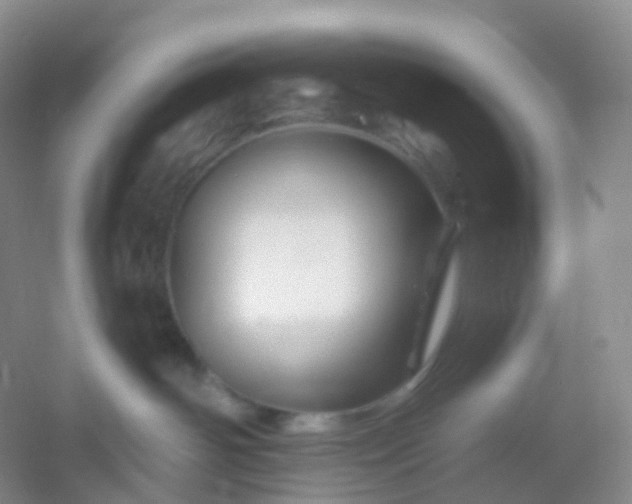 X0000054460142200508121947