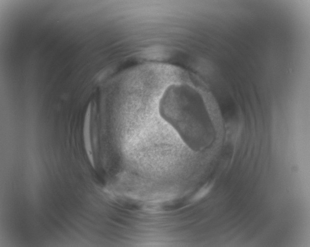 X0000054460143200508121947