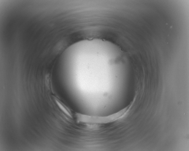 X0000054460144200508121947