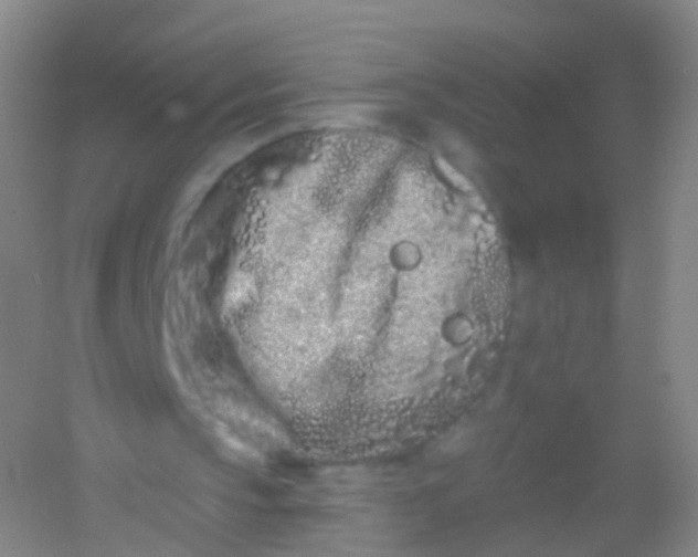 X0000054460145200508121946