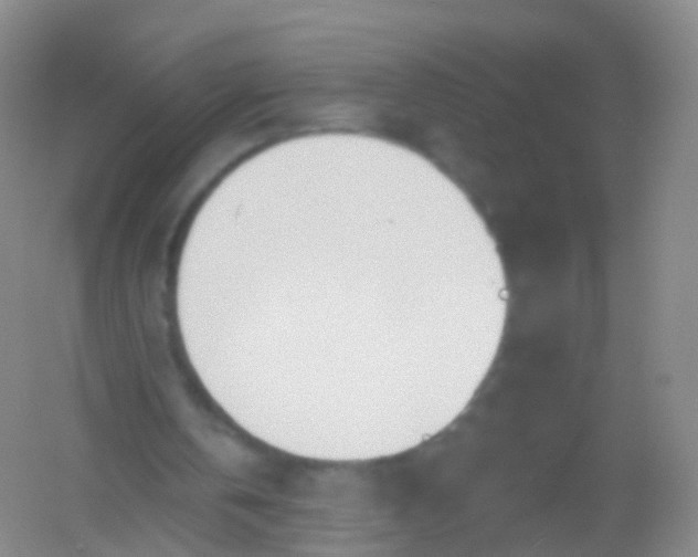 X0000054460146200508121946