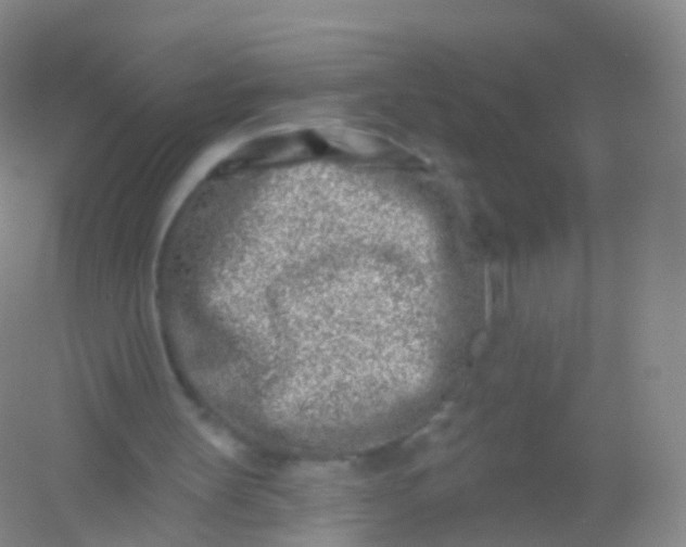 X0000054460147200508121946