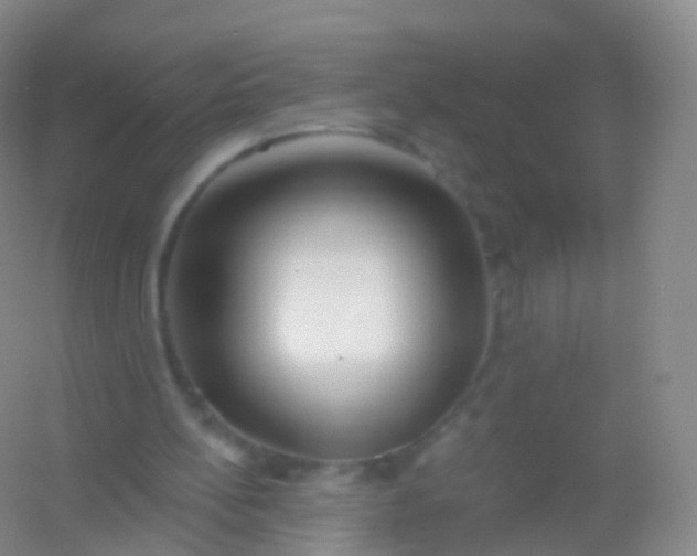 X0000054460148200508121946