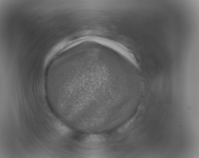 X0000054460149200508121946