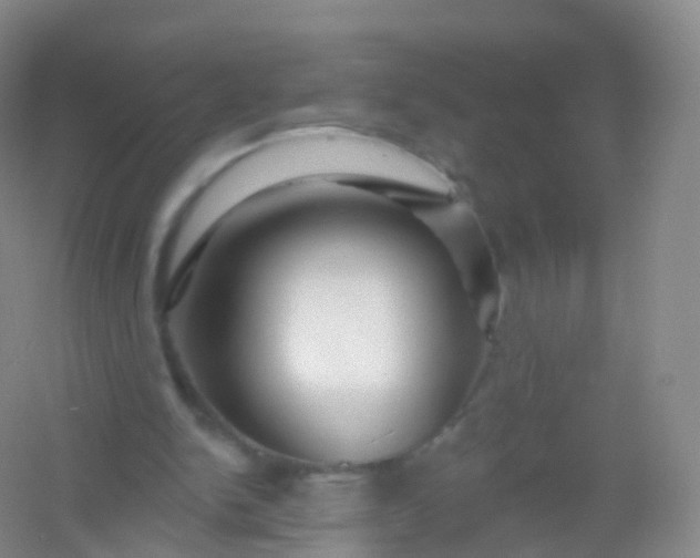 X0000054460150200508121946