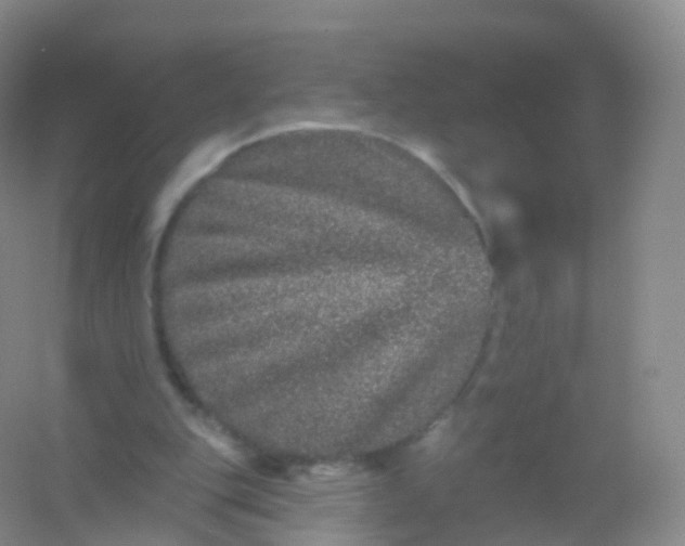 X0000054460151200508121946