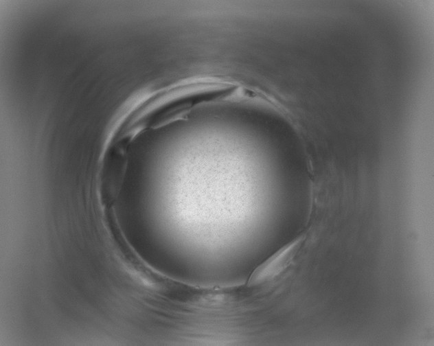 X0000054460152200508121946