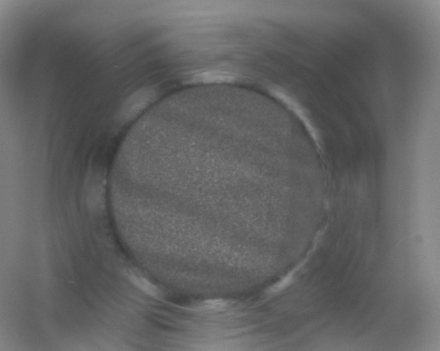 X0000054460153200508121946