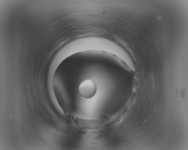 X0000054460154200508121946