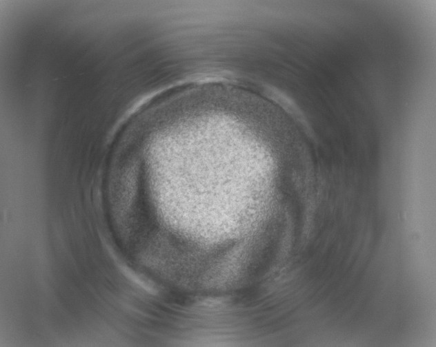 X0000054460155200508121946