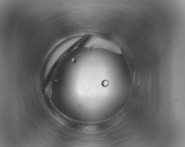 X0000054460156200508121946