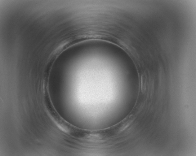 X0000054460157200508121946